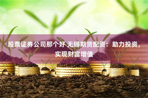 股票证券公司那个好 无锡期货配资:助力投资,实现财富增值