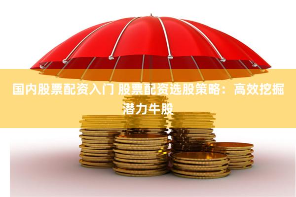 国内股票配资入门 股票配资选股策略：高效挖掘潜力牛股